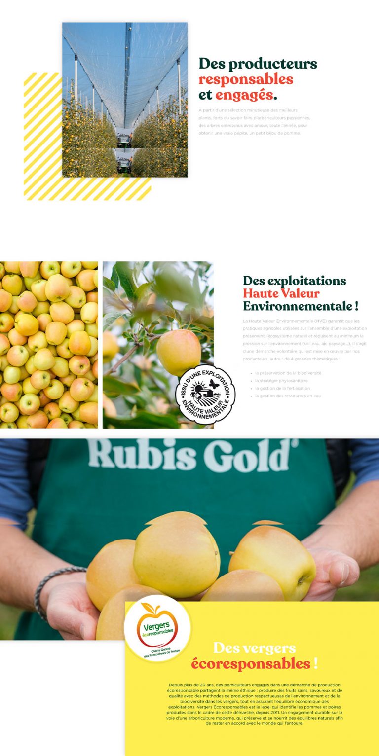 Accompagnement digital à Valence, agence marketing en Drôme-Ardèche