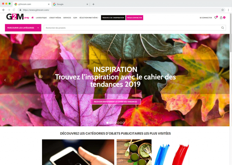 G2M-maquette-3 Agence web Marque Digitale spécialisée dans la création de site internet sur Wordpress et maintenance, accompagnement marketing sur mesure