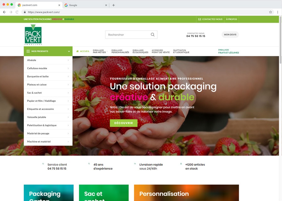 PACKVERT-page-web-4 Agence web Marque Digitale spécialisée dans la création de site internet sur WordPress et maintenance, accompagnement marketing sur mesure