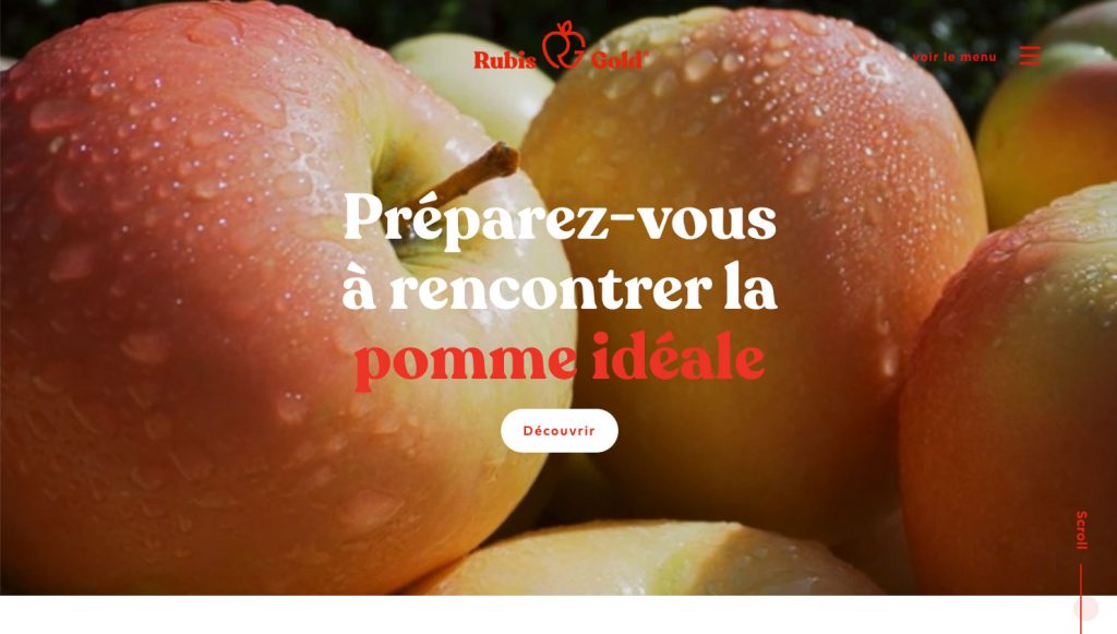 header rubis gold - Création site internet spécial e-commerce agence web marketing Valence