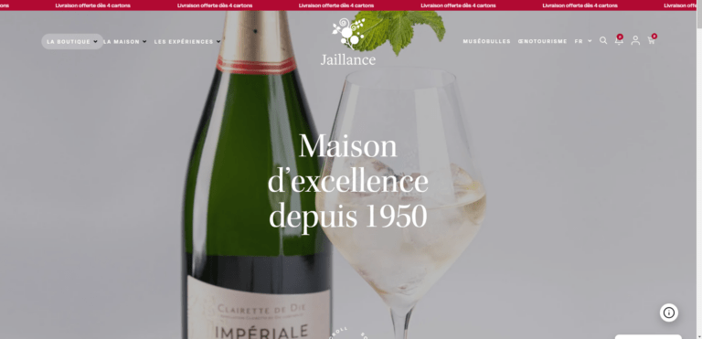 expert création de site internet originaux agence web marketing Valence