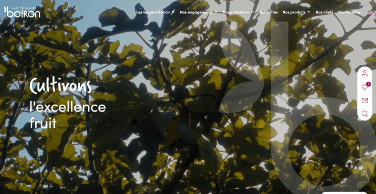 Agence Wordpress e-commerce Valence